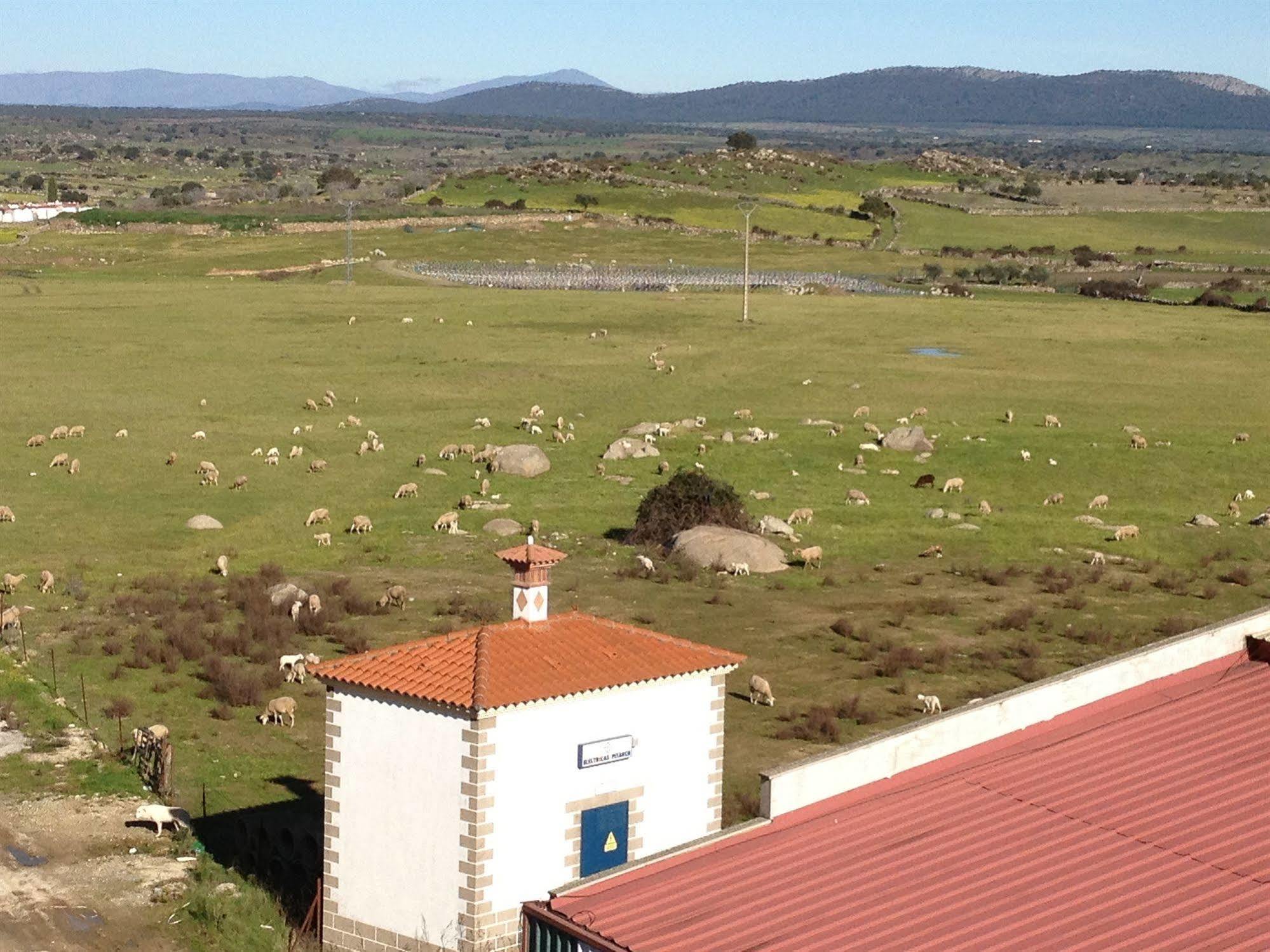 Apartamento Complejo Peñafiel Zarza La Mayor Exterior foto